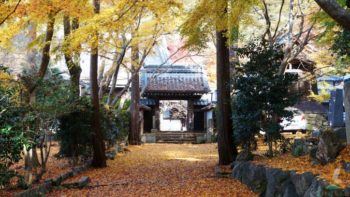 秋の青岸寺
