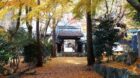 米原駅の近くにある青岸寺は庭園と紅葉のコラボが美しい穴場スポット